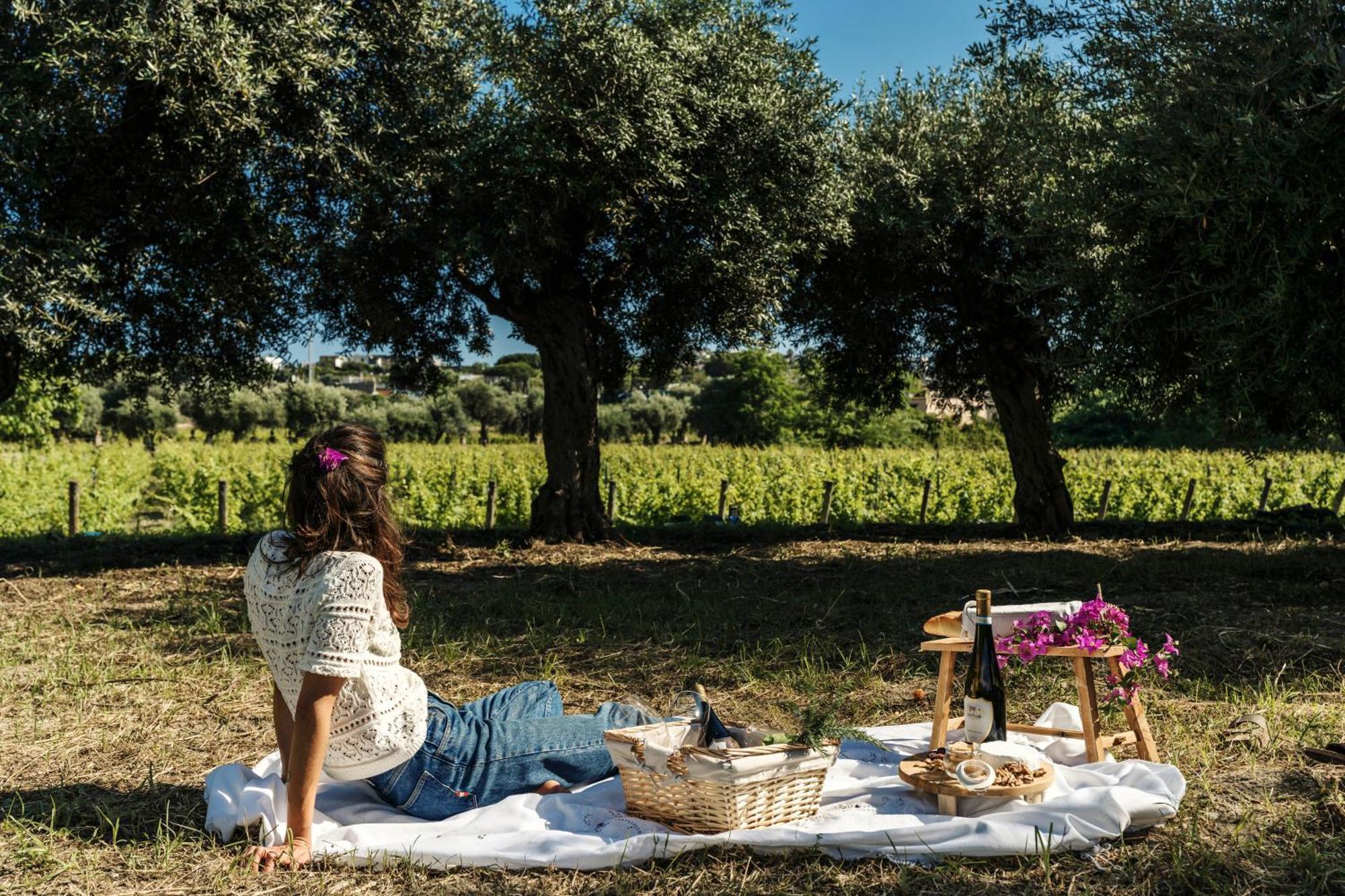 Tenuta Calitto Wine Resort E Spa Ίσκια Εξωτερικό φωτογραφία
