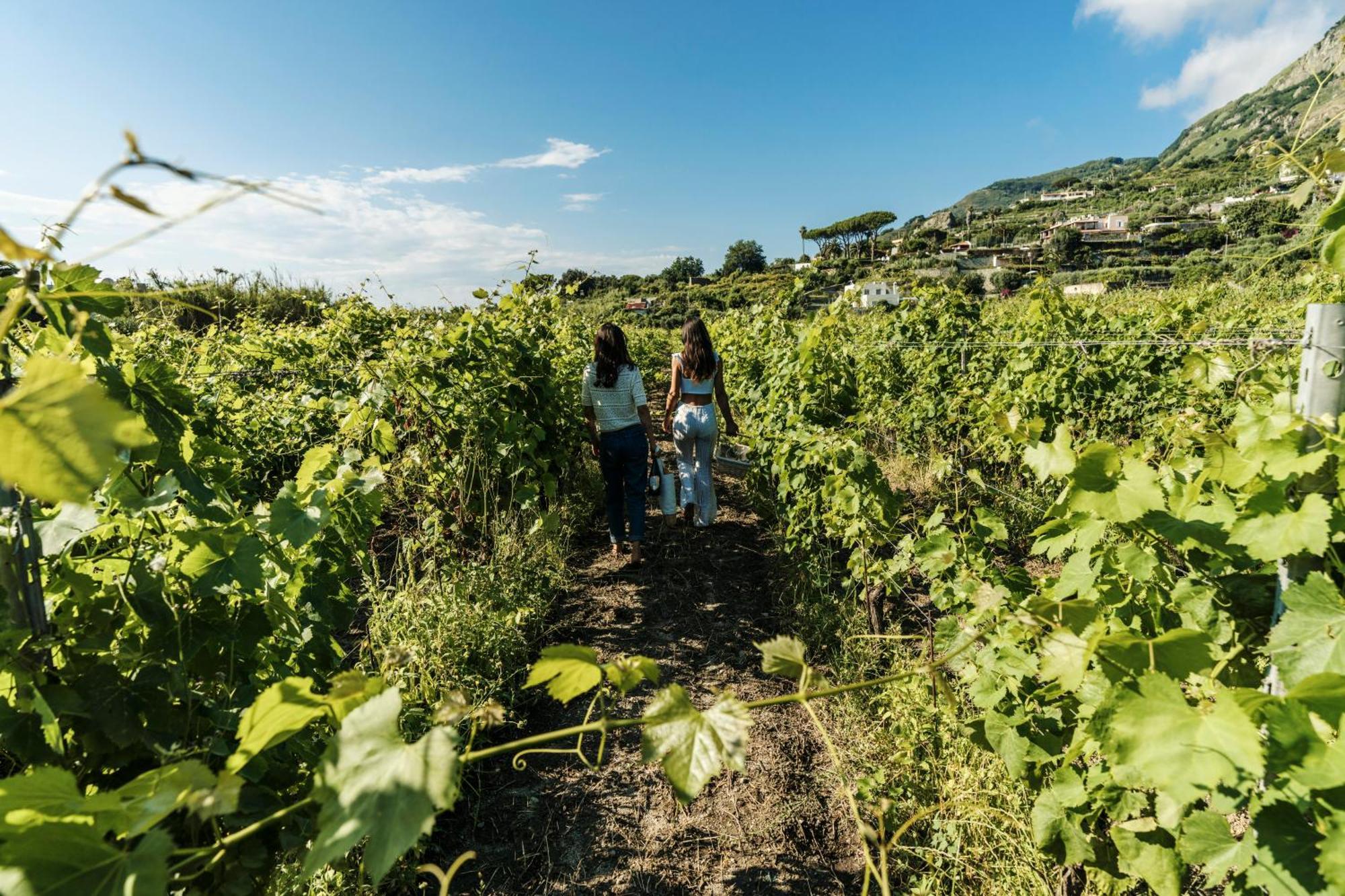 Tenuta Calitto Wine Resort E Spa Ίσκια Εξωτερικό φωτογραφία