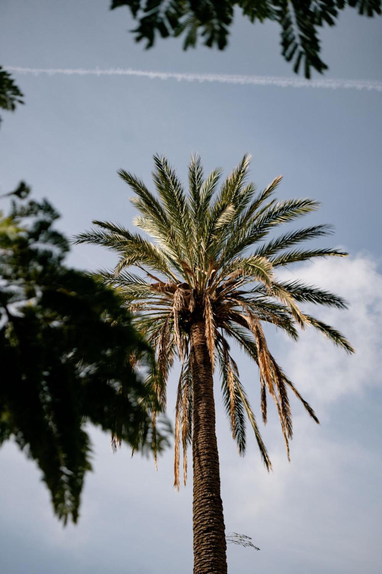 Tenuta Calitto Wine Resort E Spa Ίσκια Εξωτερικό φωτογραφία